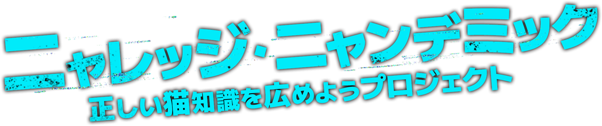 ニャレッジ・ニャンデミック　正しい猫知識を広めようプロジェクト