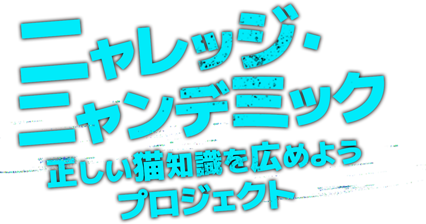 ニャレッジ・ニャンデミック　正しい猫知識を広めようプロジェクト