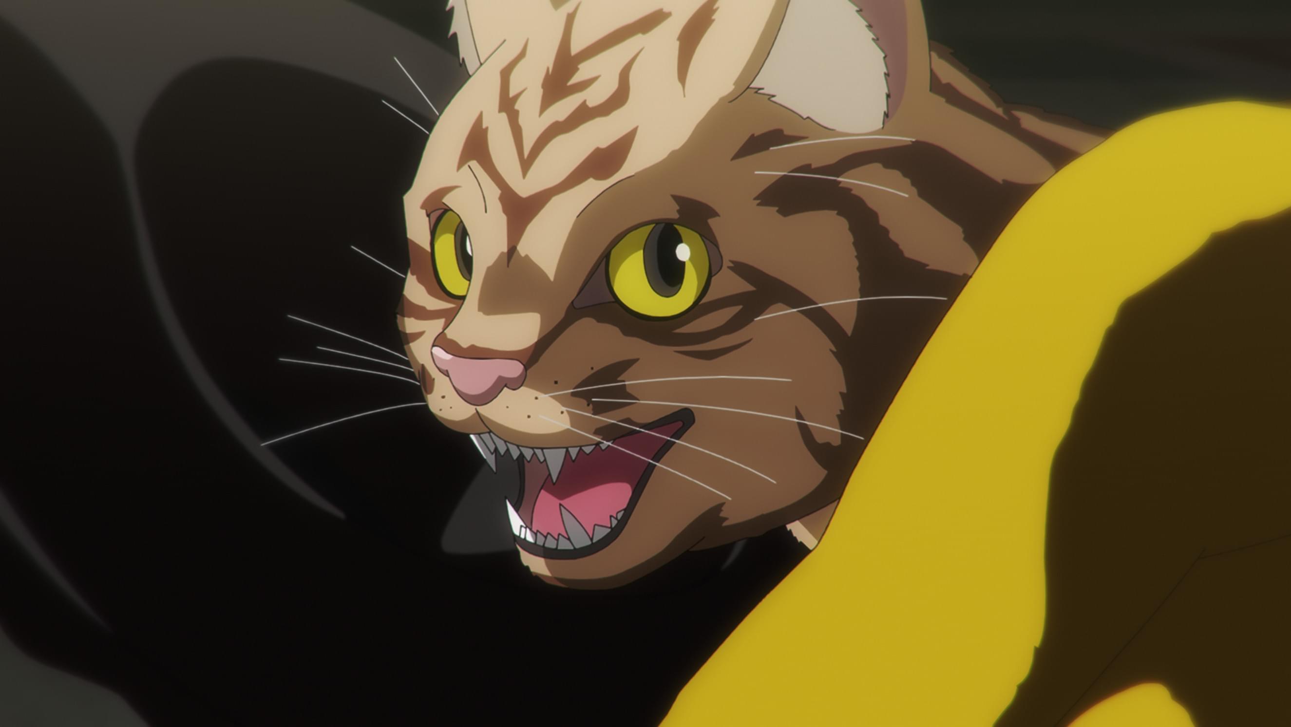 すべてが猫になる