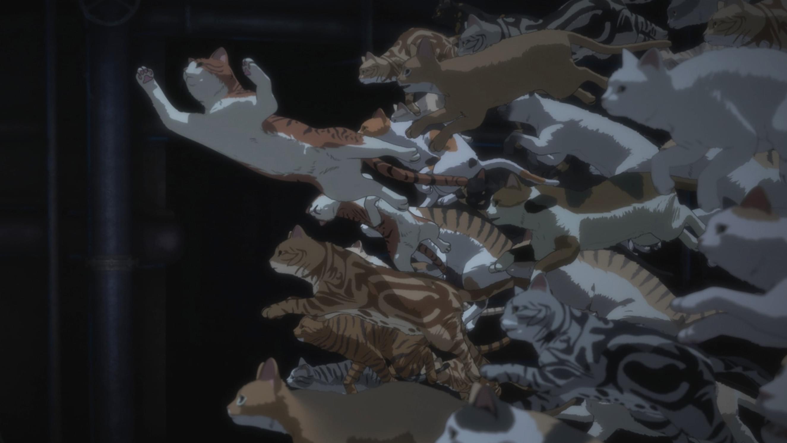 すべてが猫になる