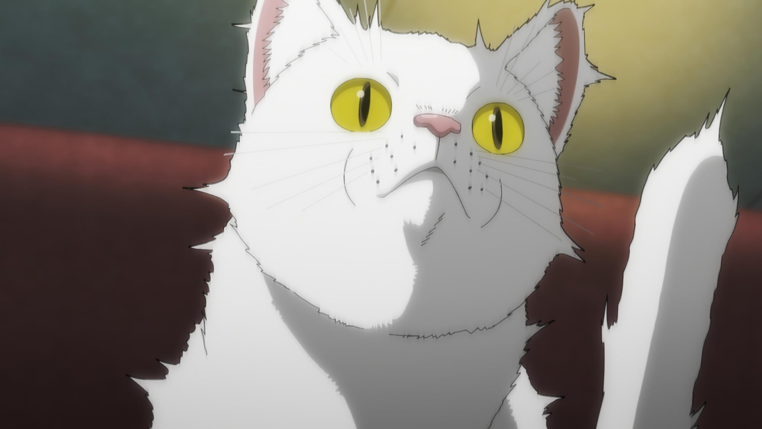 すべてが猫になる