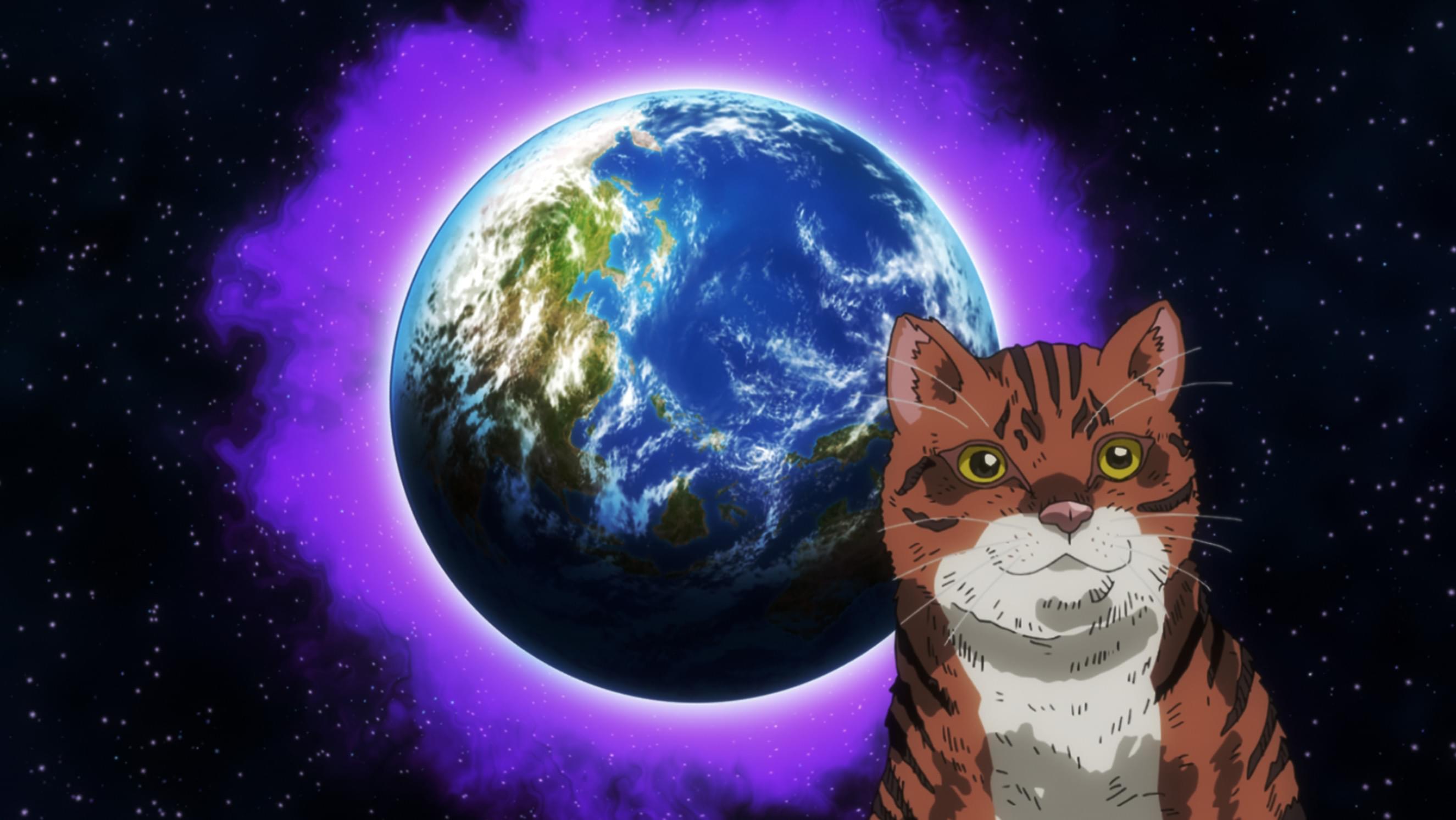 すべてが猫になる