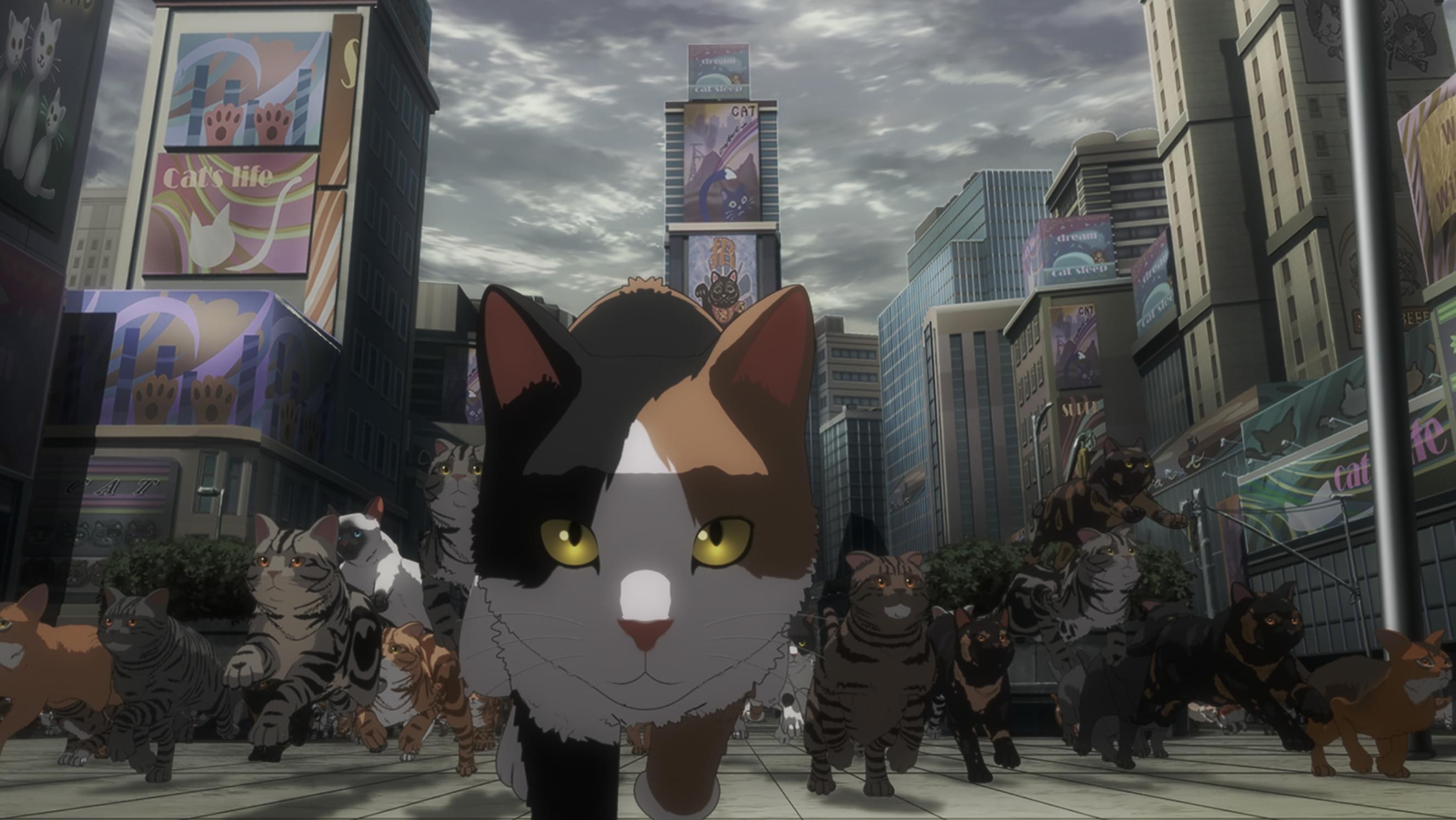 すべてが猫になる