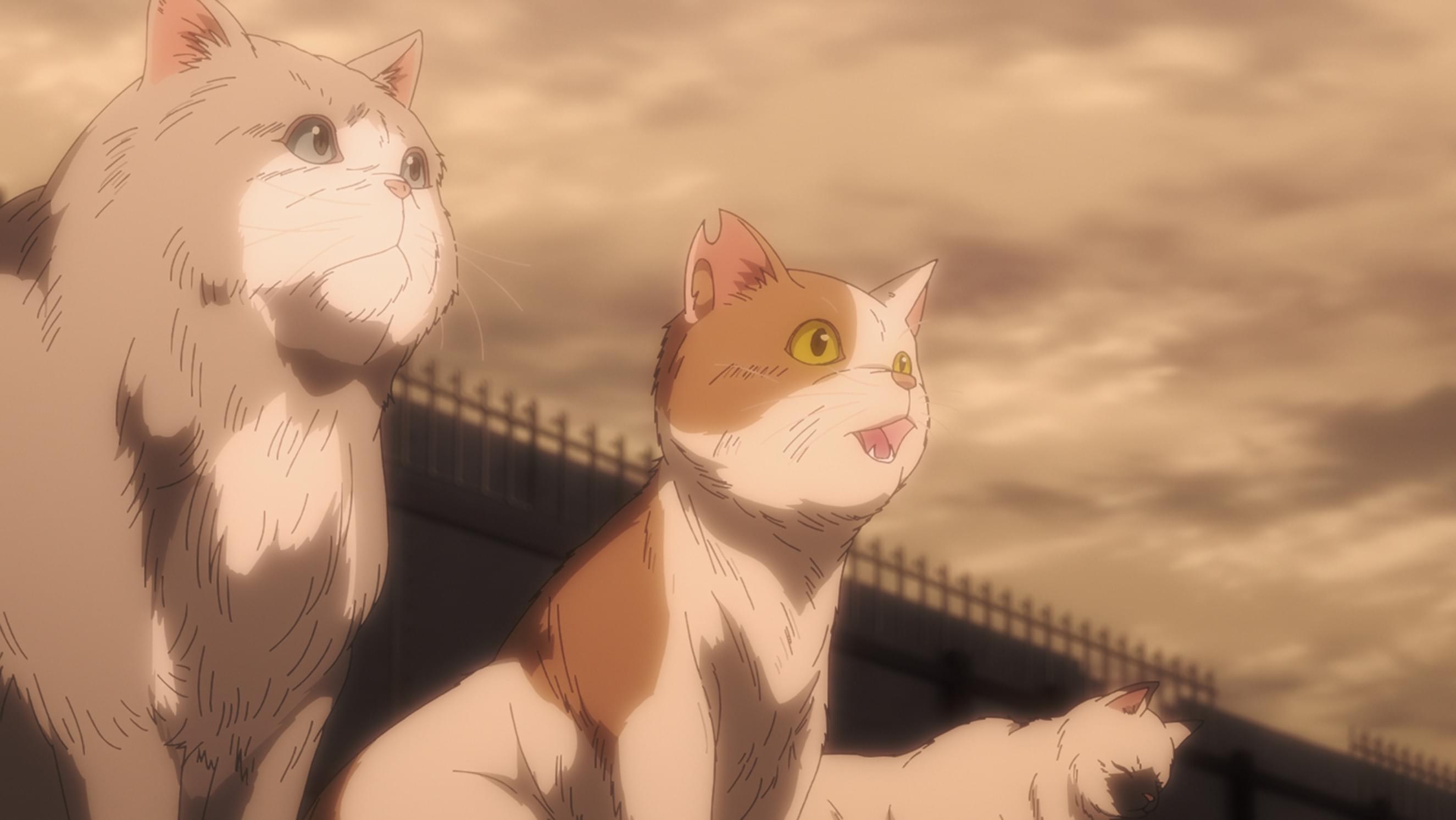 アイ・ミャウ・レジェネコ