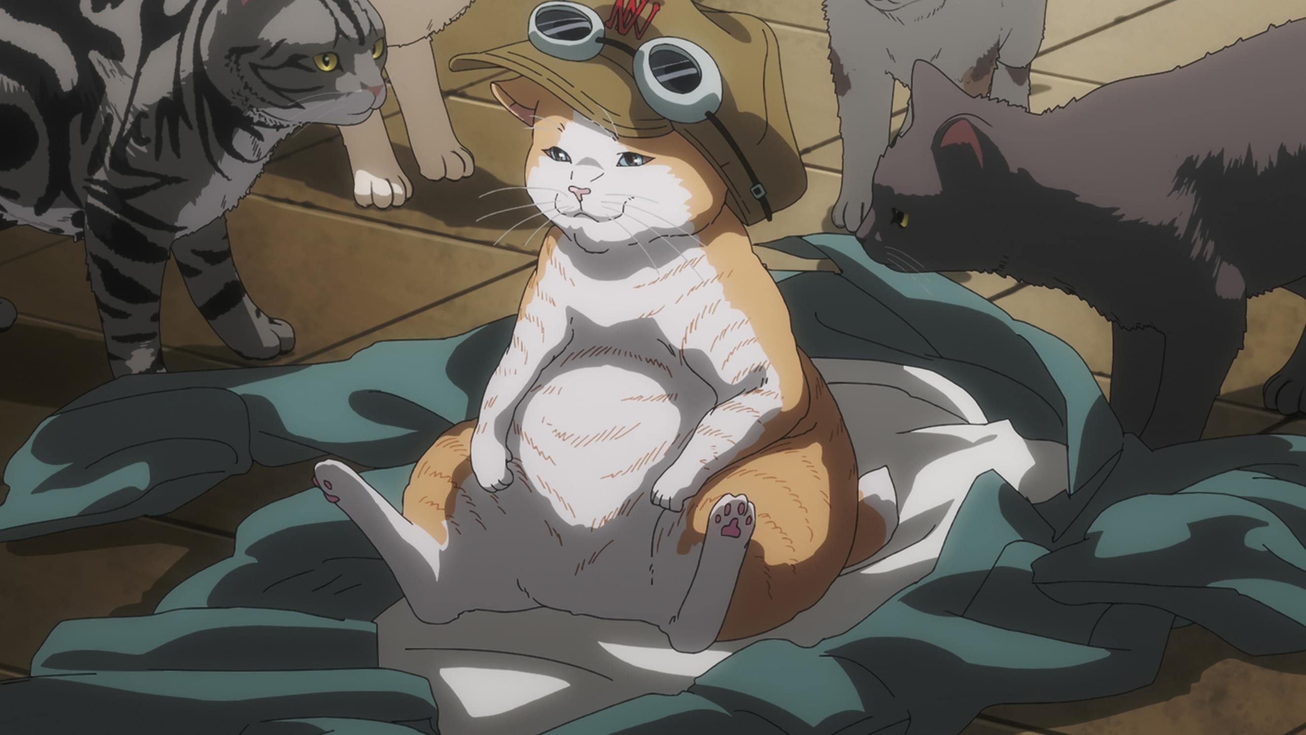 アイ・ミャウ・レジェネコ