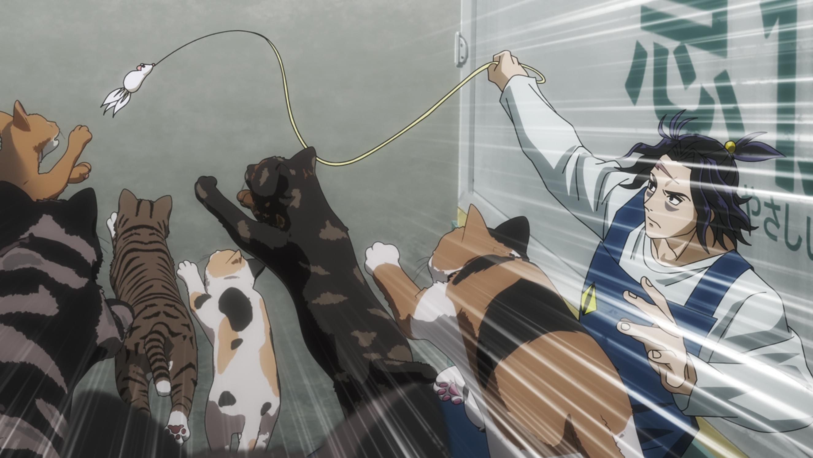 今宵ねこら星を奪う