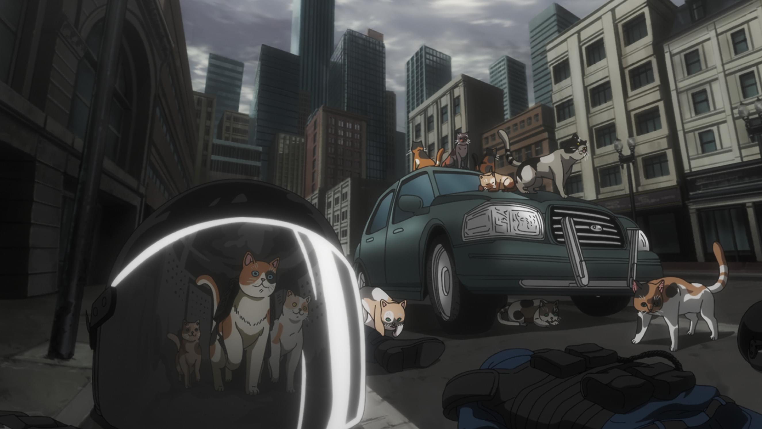 今宵ねこら星を奪う