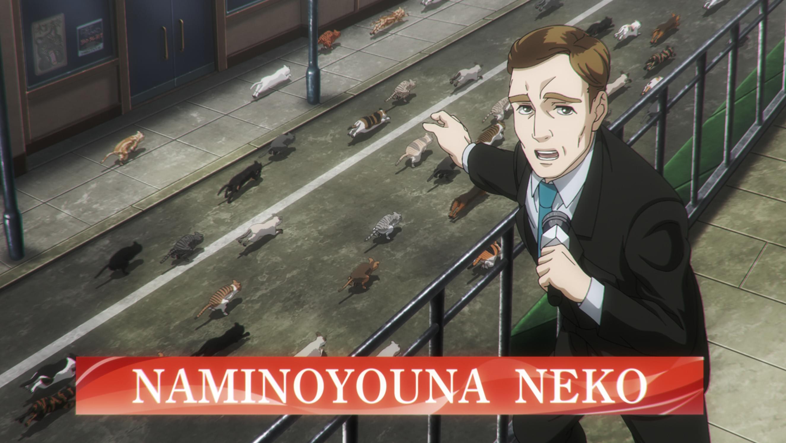 今宵ねこら星を奪う