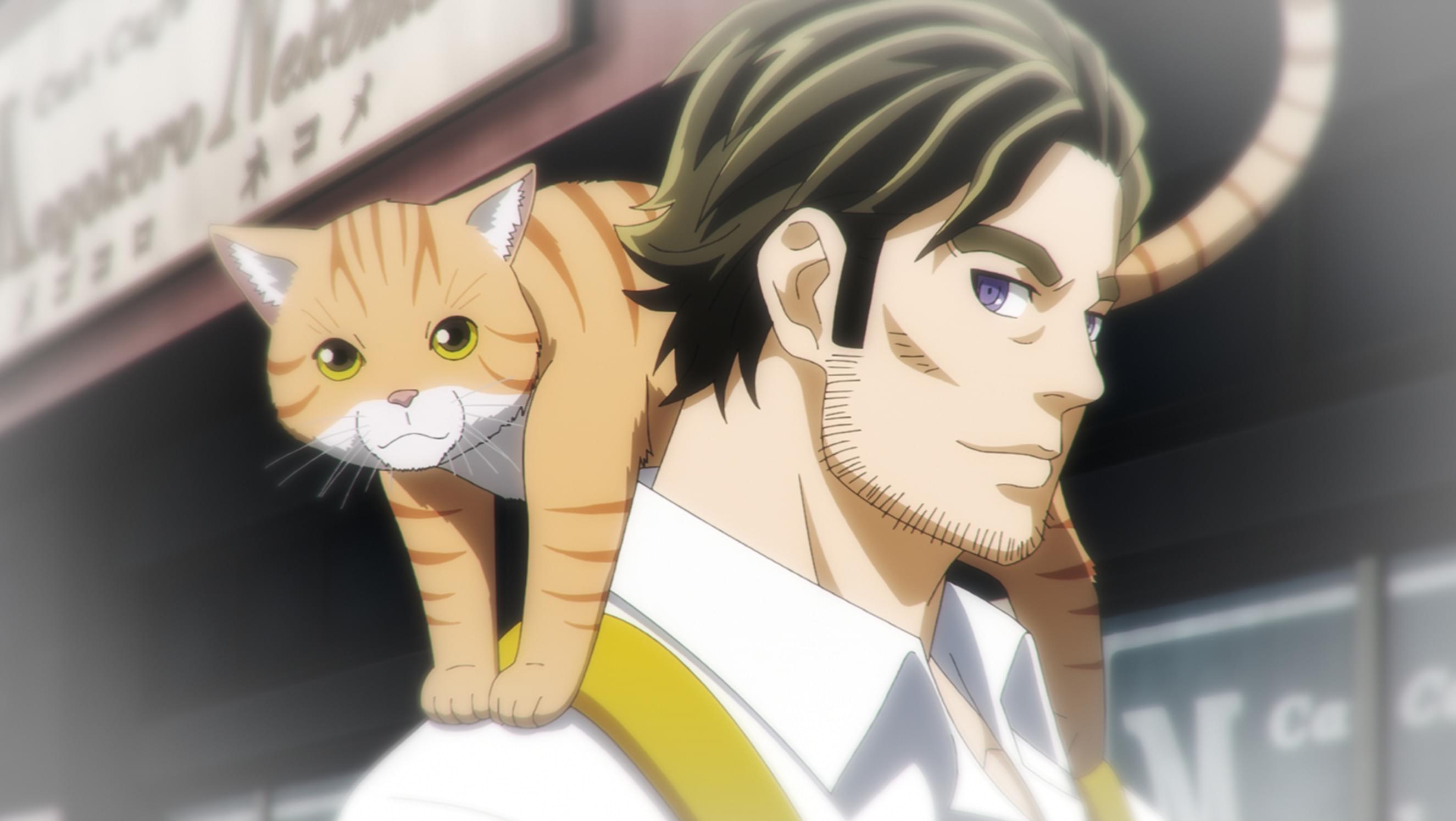 今宵ねこら星を奪う