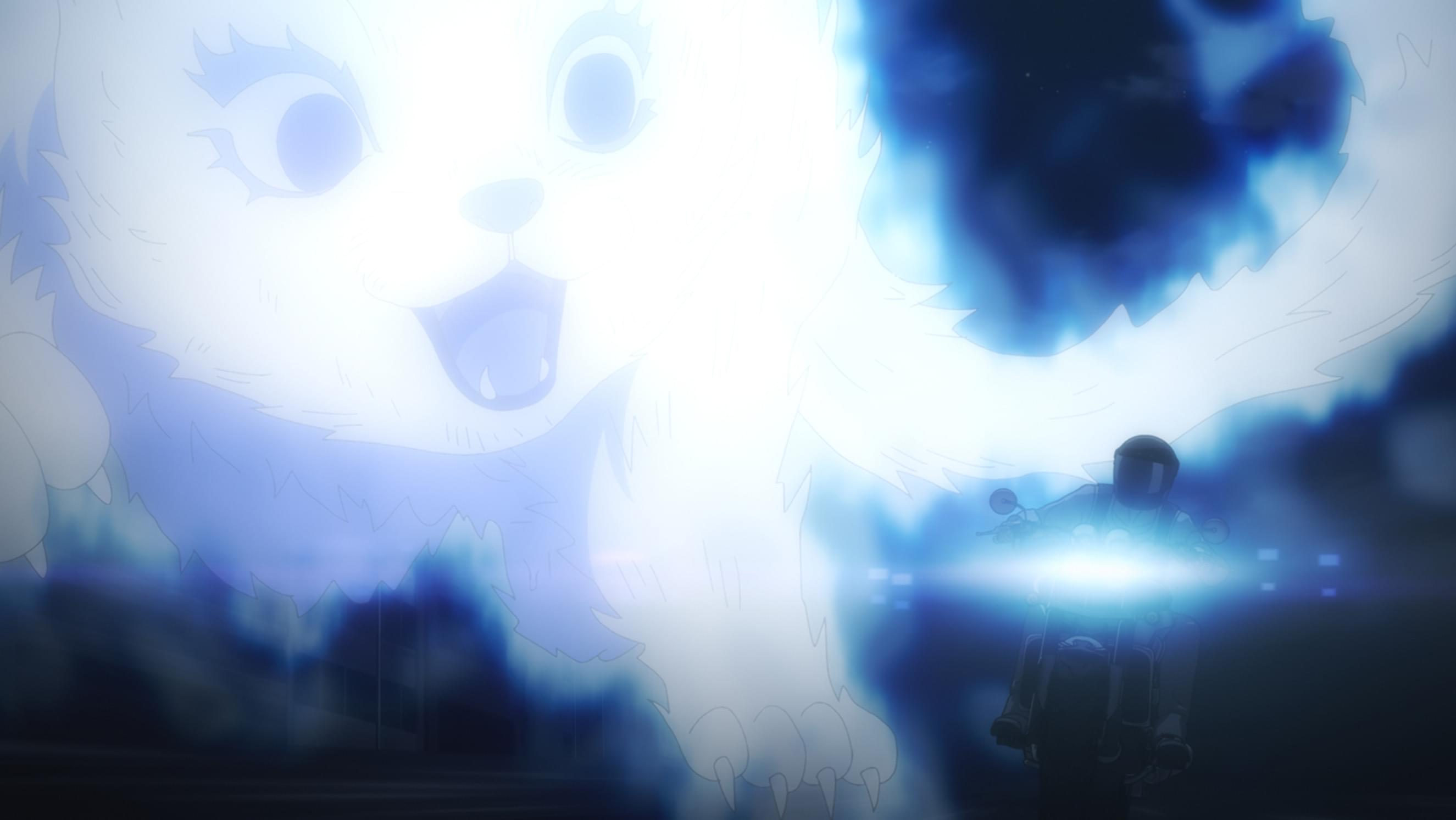 猫は無慈悲な世界の王