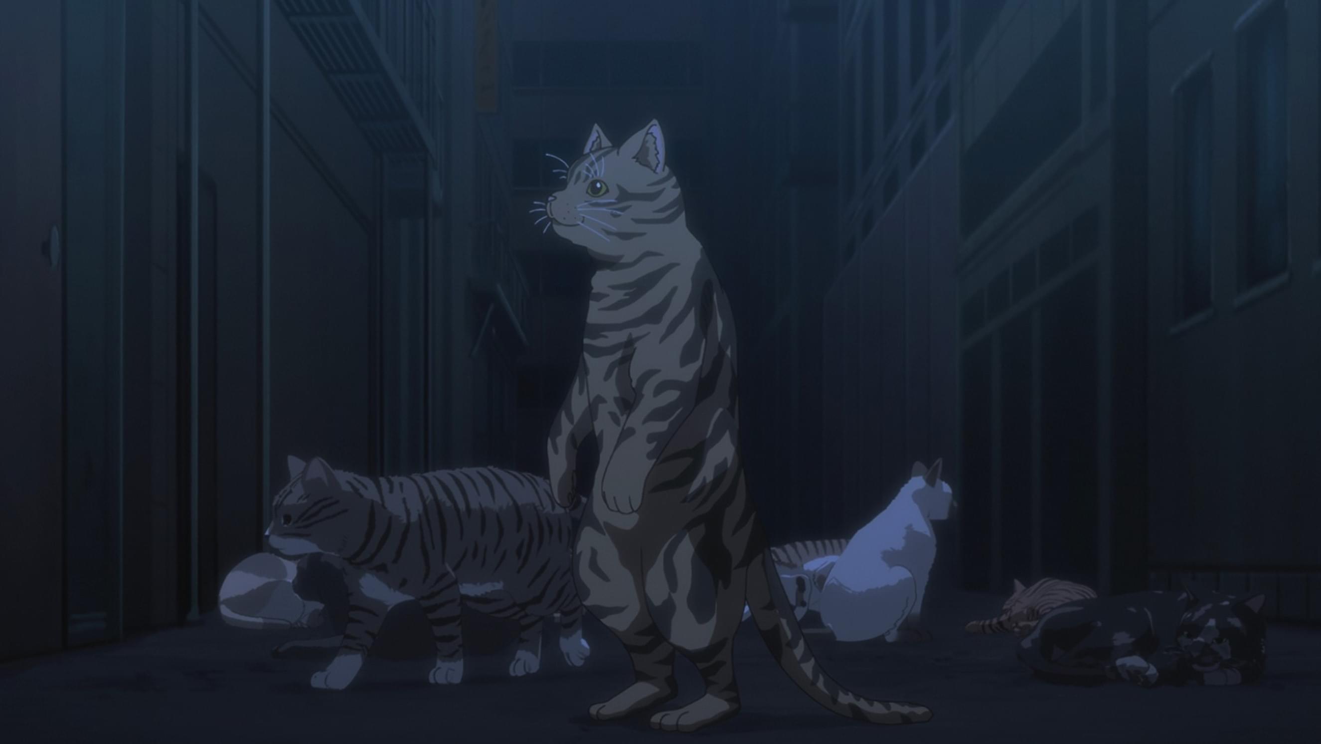 猫は無慈悲な世界の王