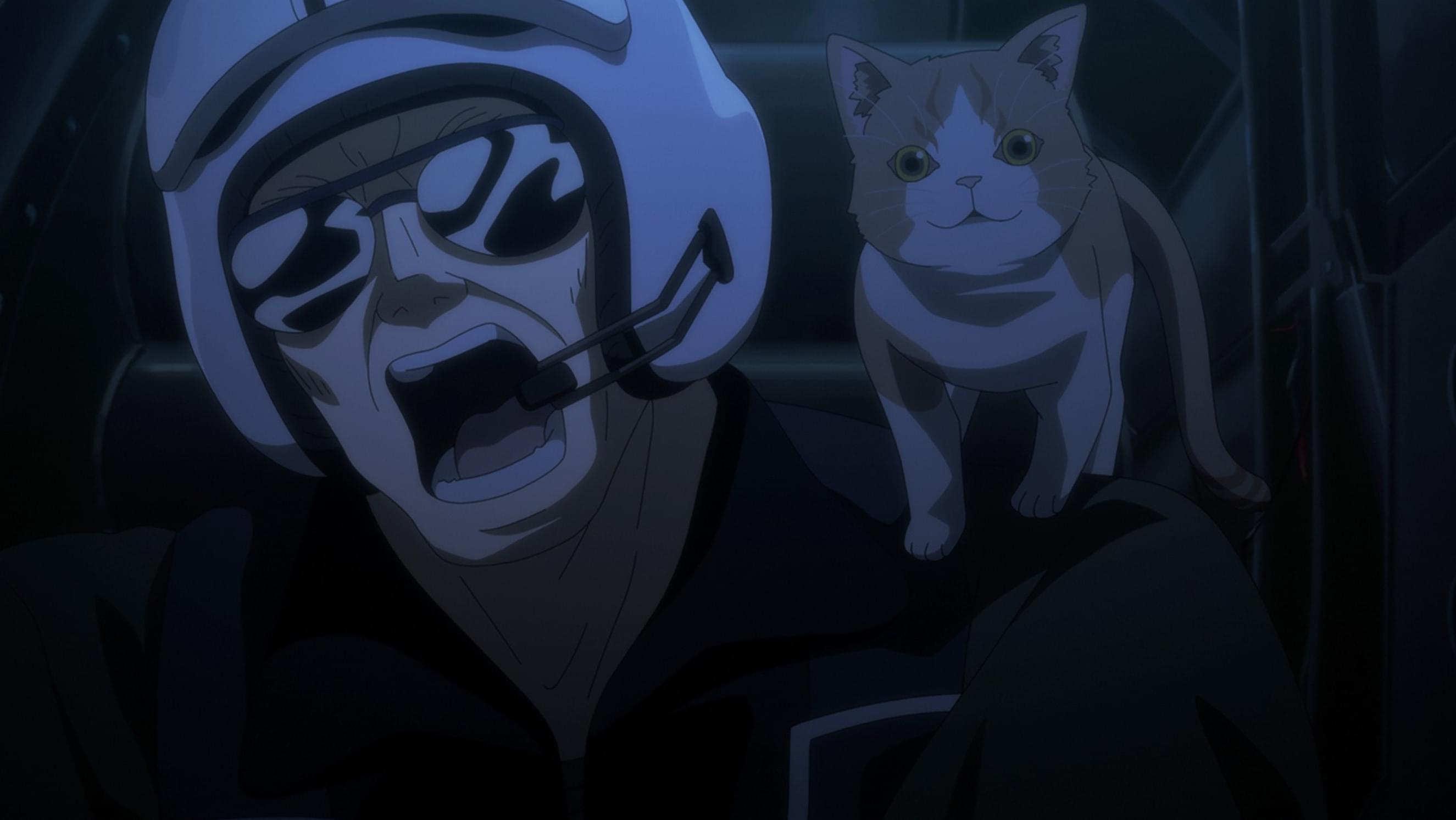 猫は無慈悲な世界の王