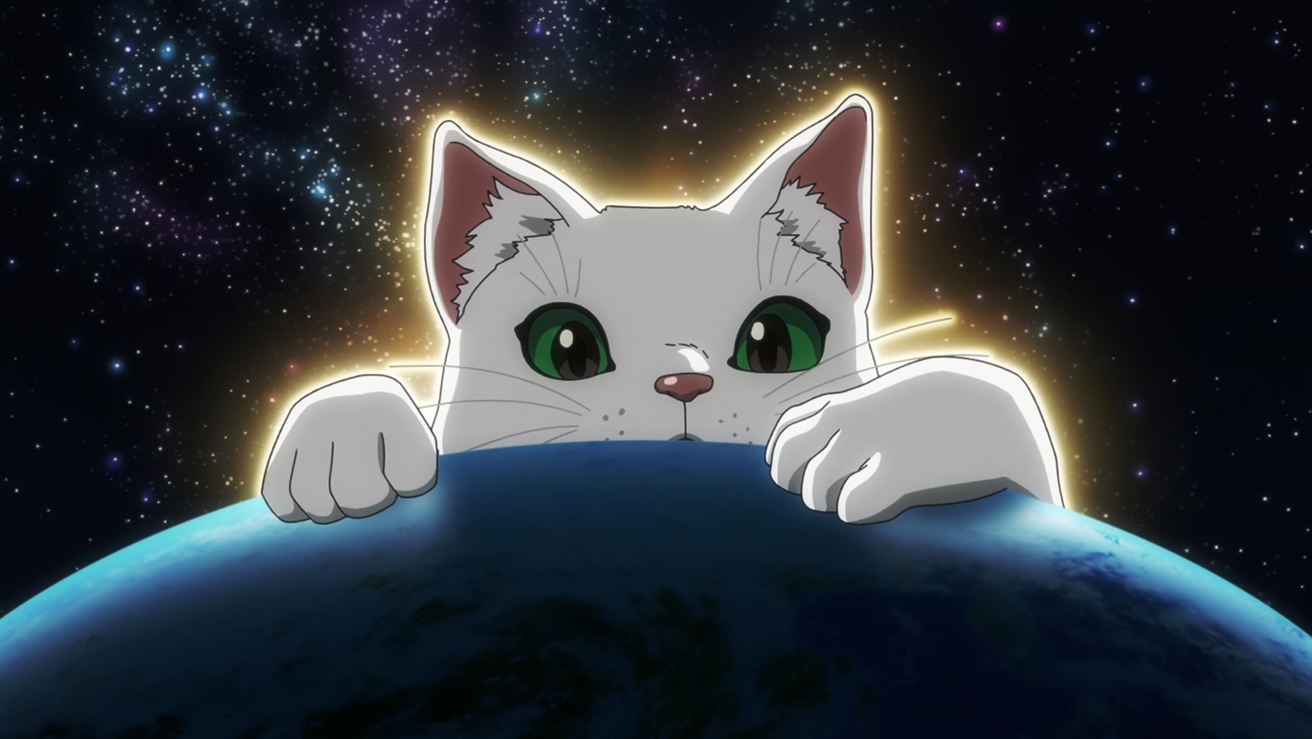 キャットマックス