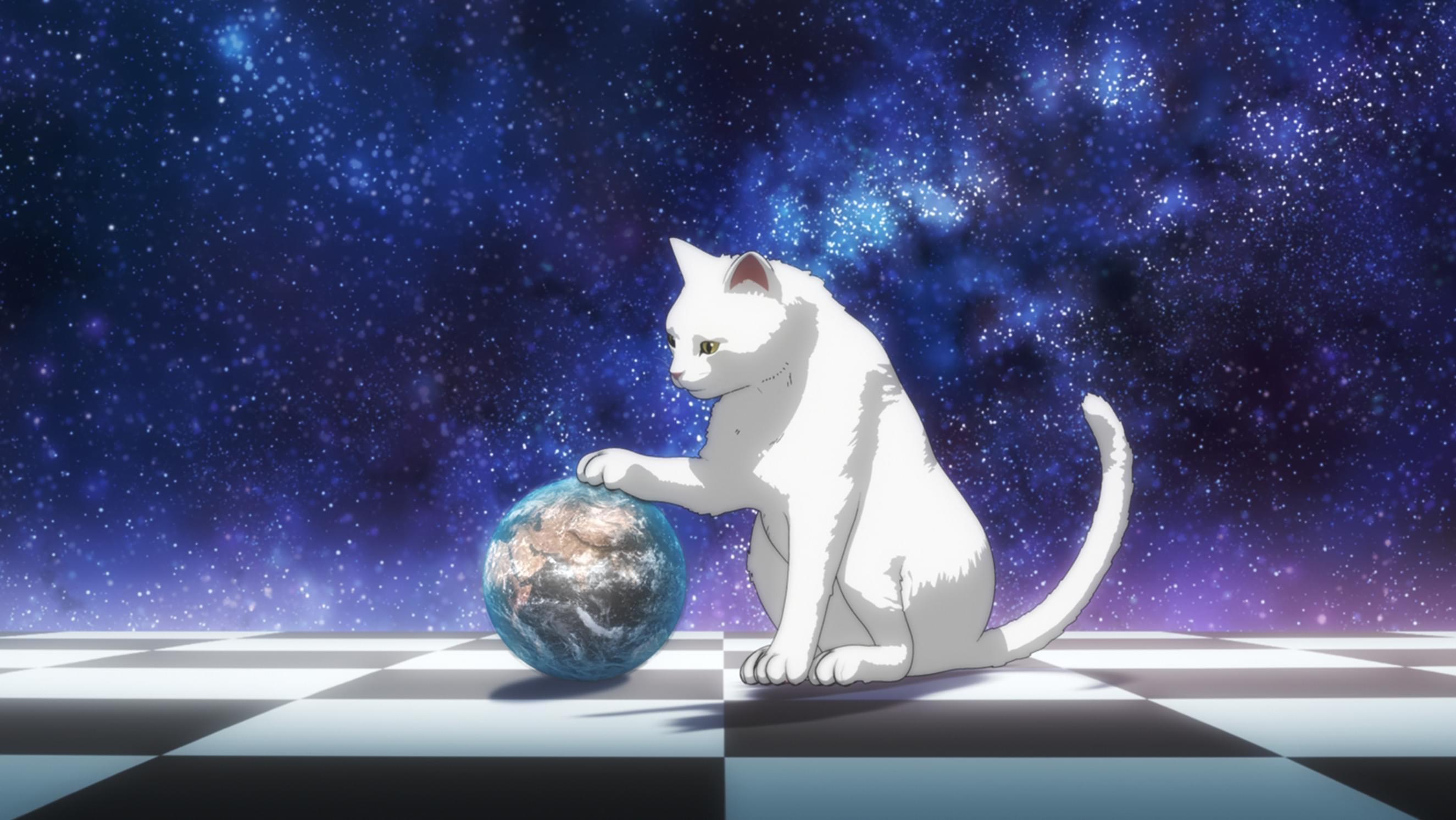 キャットマックス