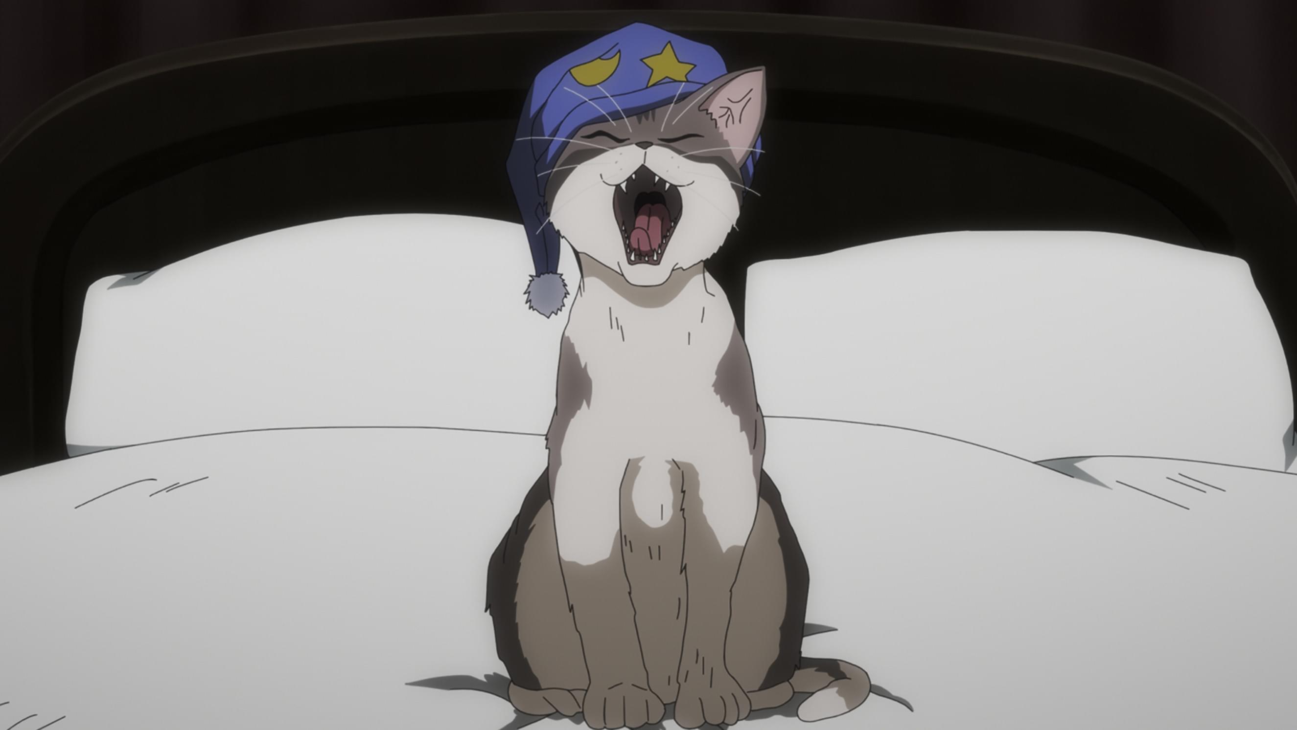 キャットライジング