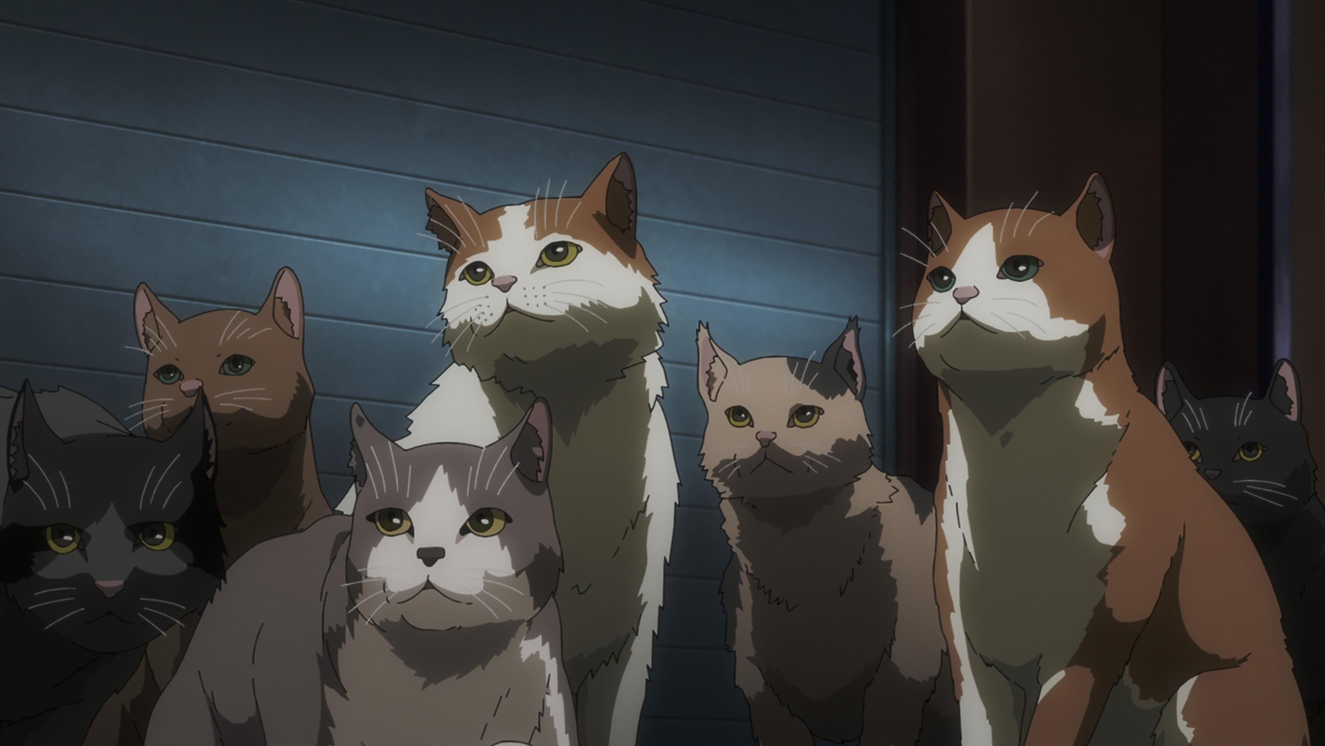 遊星からの猫D-REX