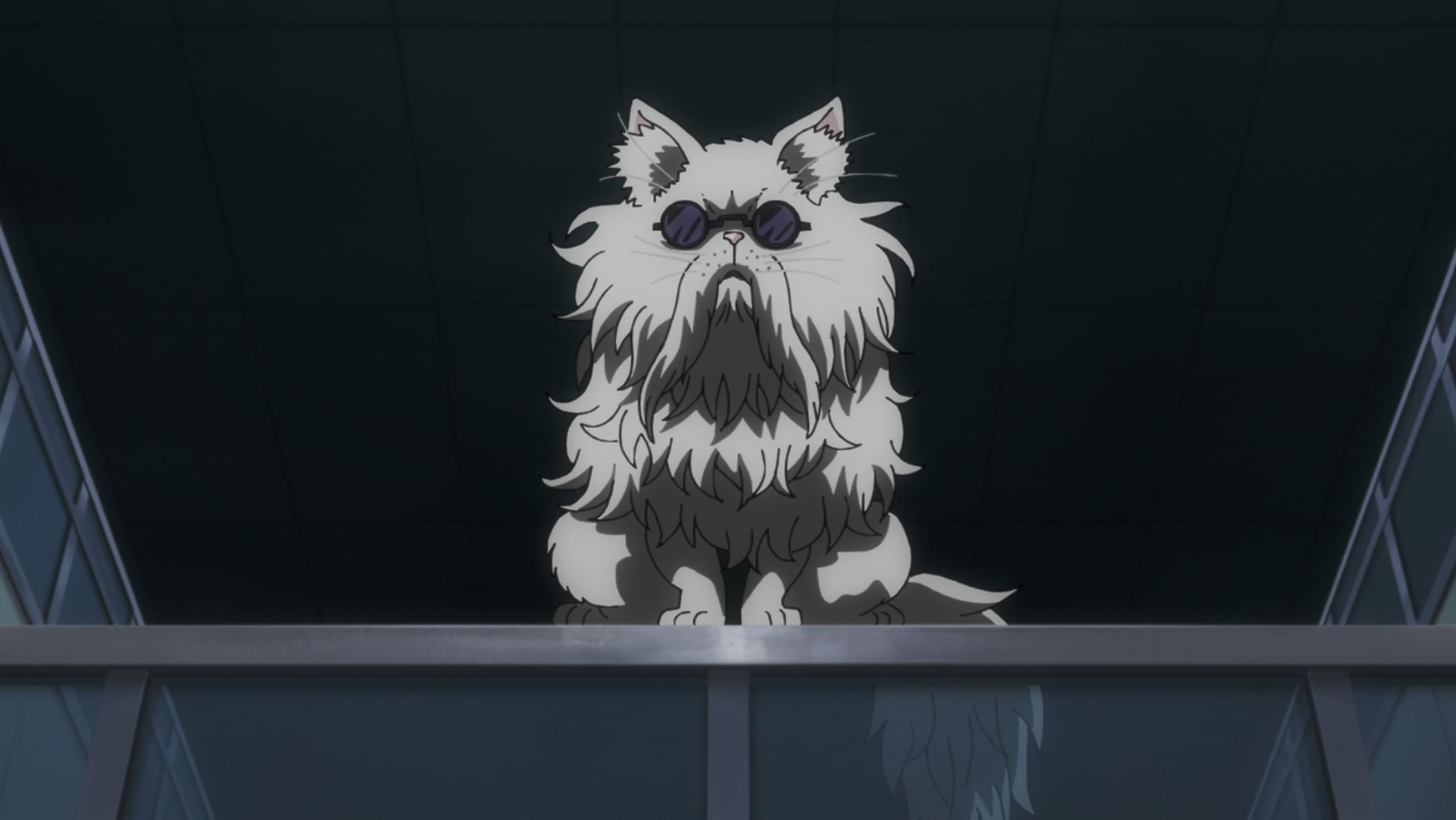 ニャルマゲドン